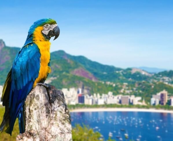 7 dicas para aproveitar o Rio de Janeiro em um fim de semana