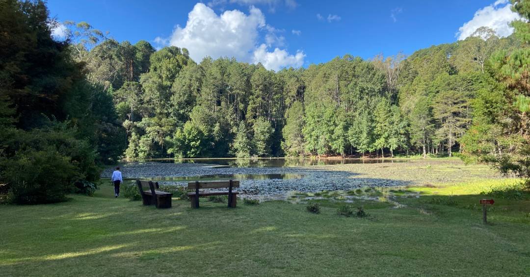 Campos do Jordão: lindos cenários no n…