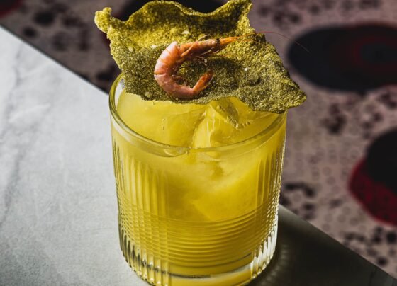 Tacacá Sour do Nosso