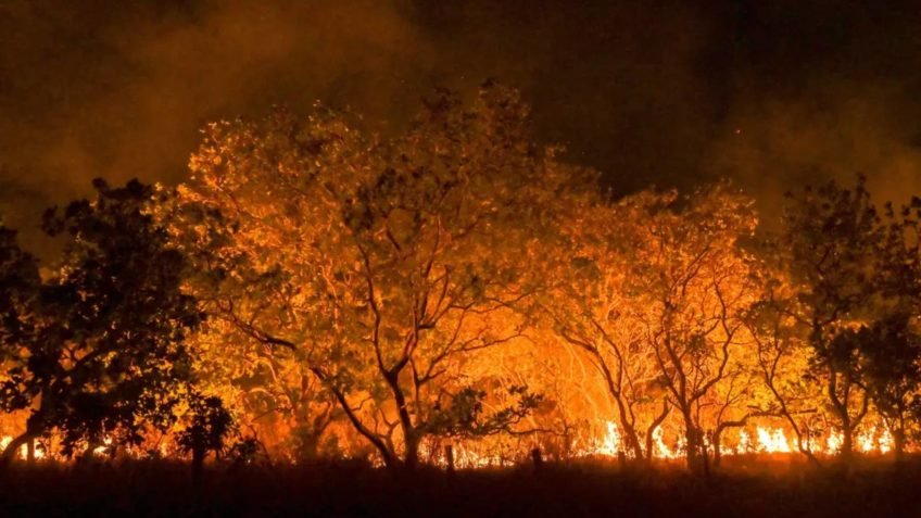 Aplicativo Radar Ambiental registra 2.700 infrações em 3 meses
