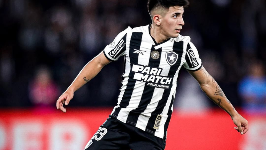 Botafogo planeja construir novo estádio