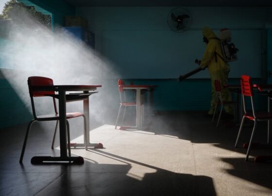 escola