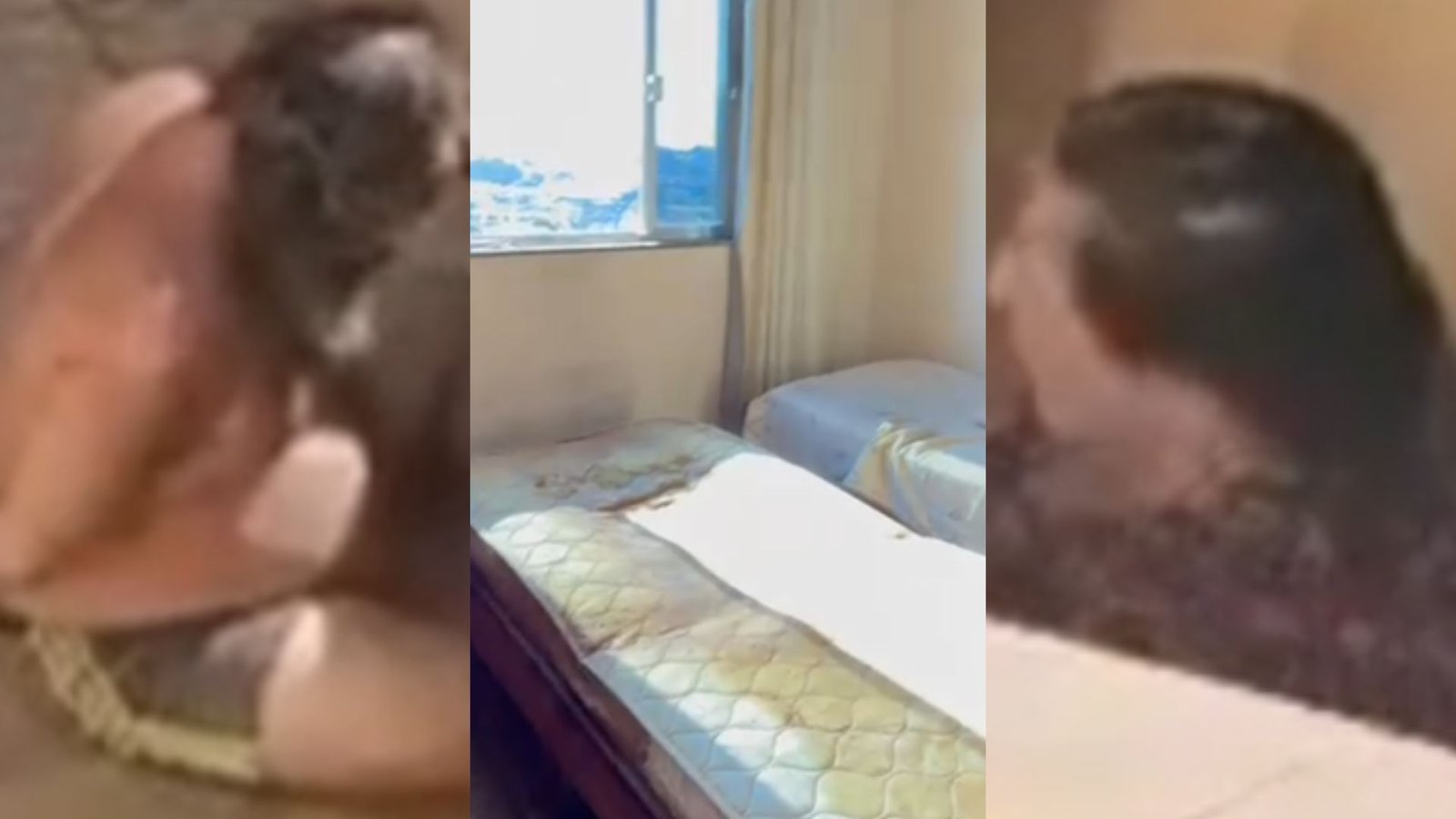 Irmãos que esconderam o corpo do pai: veja o que dizem leis sobre crime